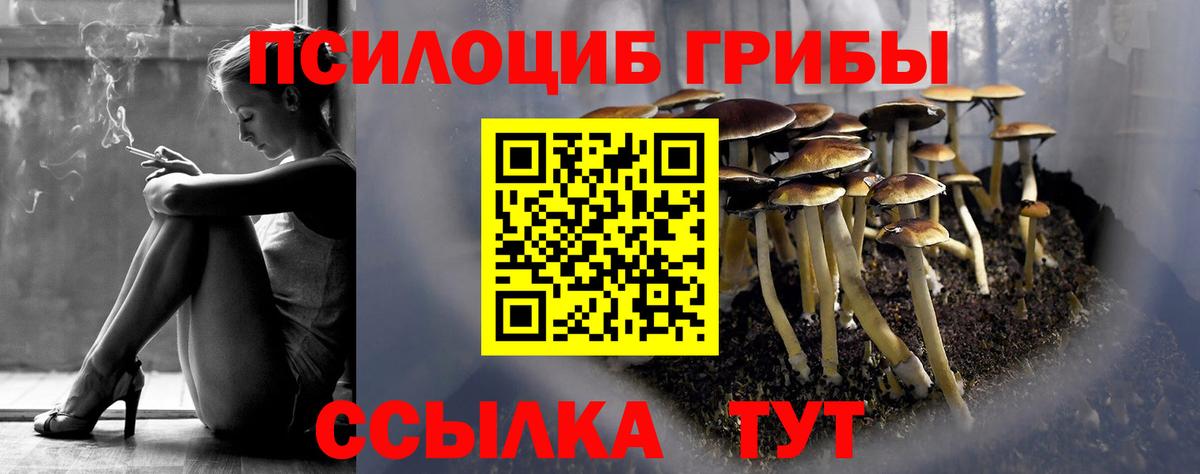 Коряжма  Псилоцибиновые грибы мицелий  Вход с VPN  Галлюциногенные грибы ЛСД 